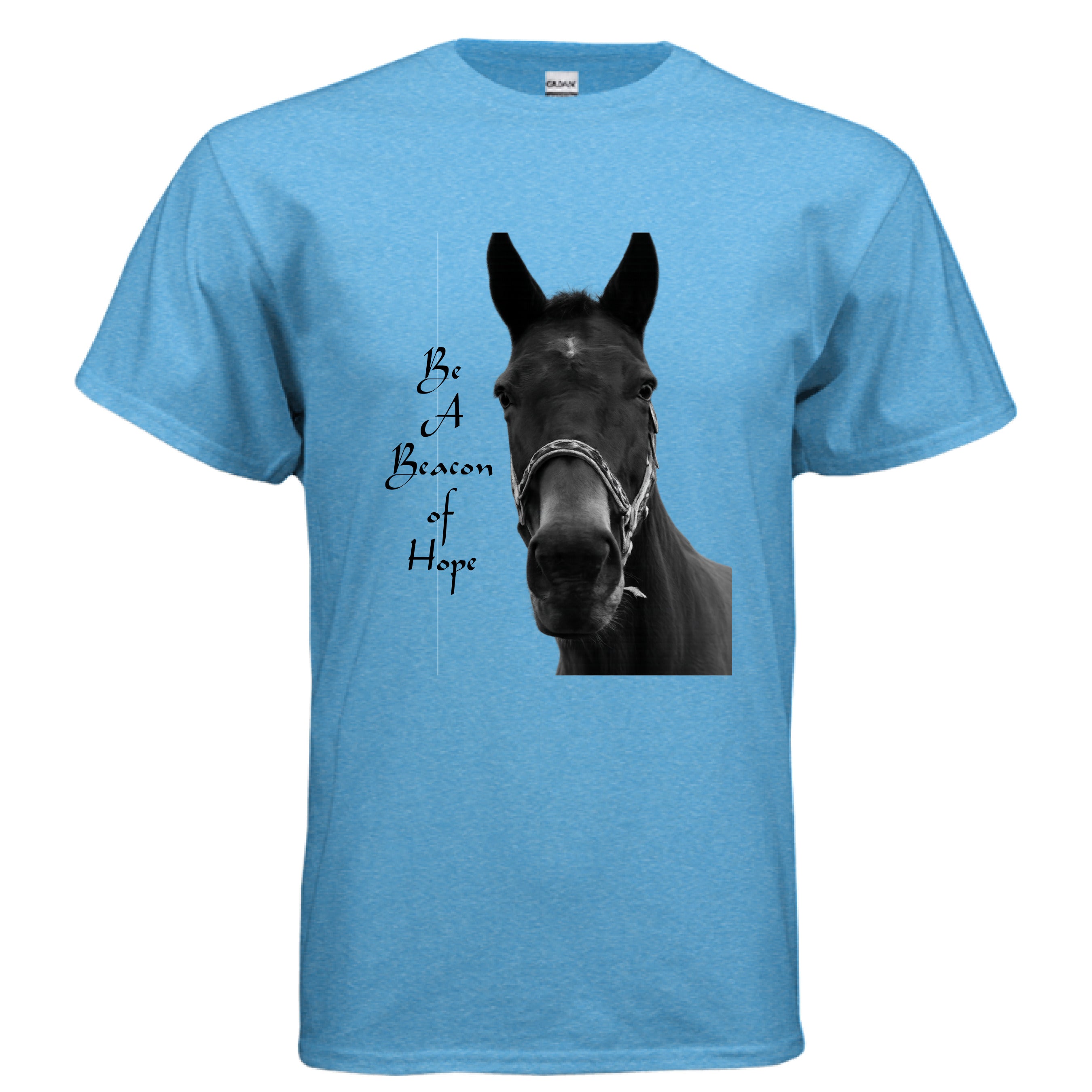 HEATHER SAPPHIRE - FRONT