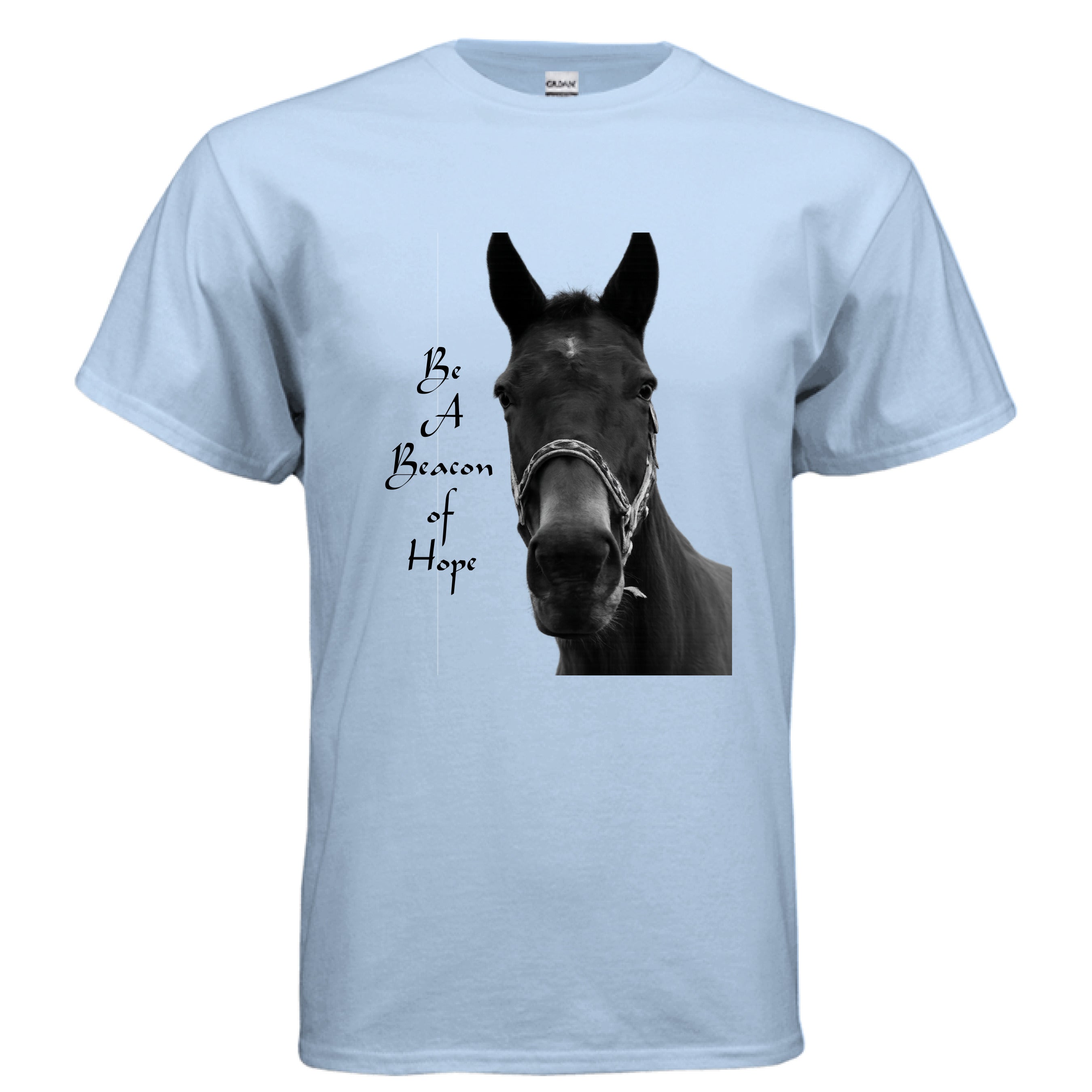 LIGHT BLUE - FRONT
