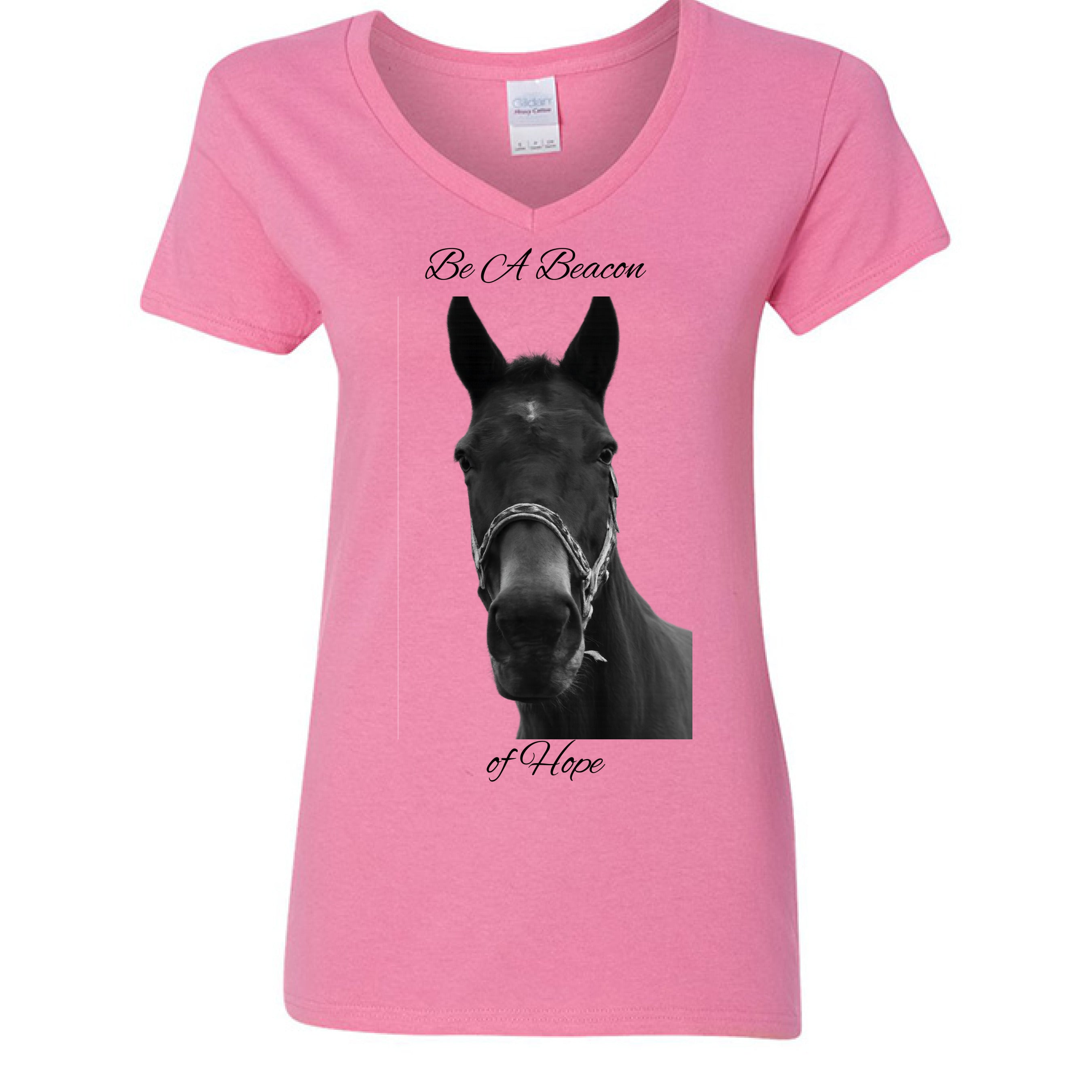 AZALEA - FRONT